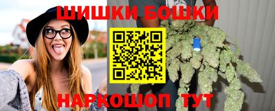 прущие грибы Апшеронск