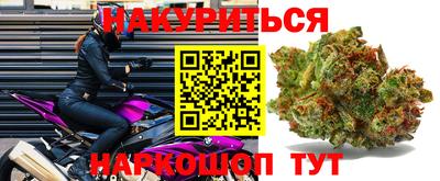 прущие грибы Апшеронск