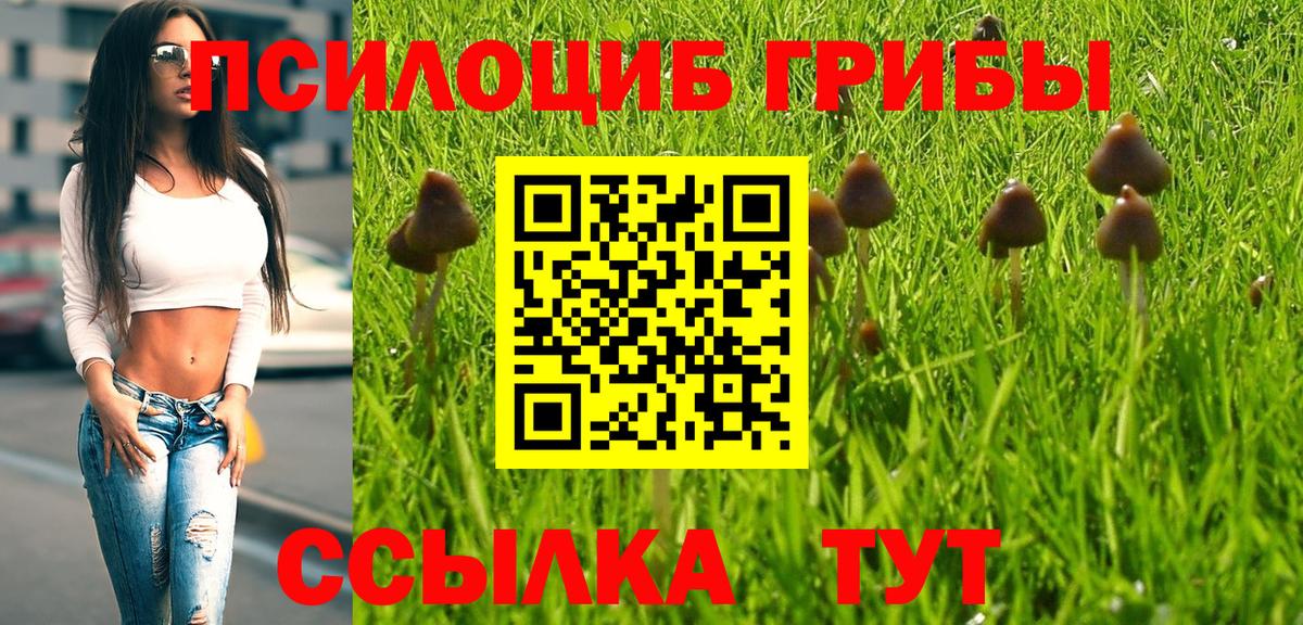 Псилоцибиновые грибы ЛСД  Галлюциногенные грибы ЛСД  Аша  купить наркотики цена  Вход с VPN 